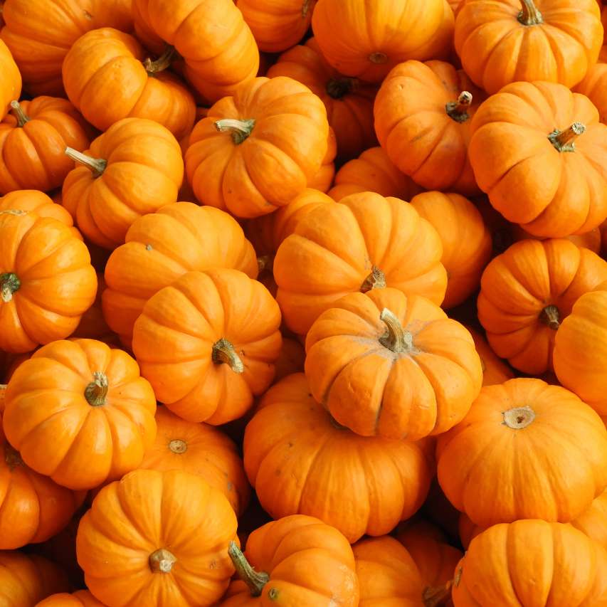 Rottaler Erntefest Rottaler Erntefest